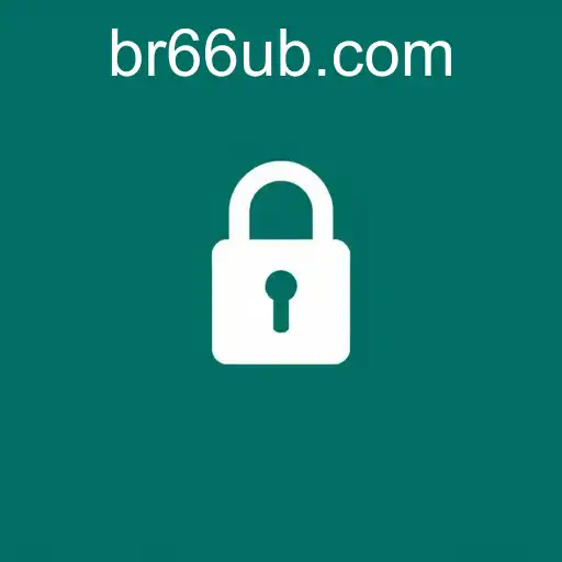 Understanding Privacy Policies: The Case of 66UB.COM